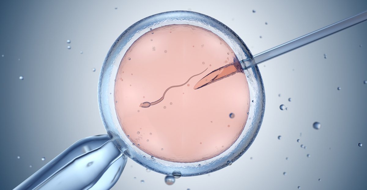 Artificial-insemination-or-in-vitro-fertilization-illustration Artificial-insemination-or-in-vitro-fertilization-illustration