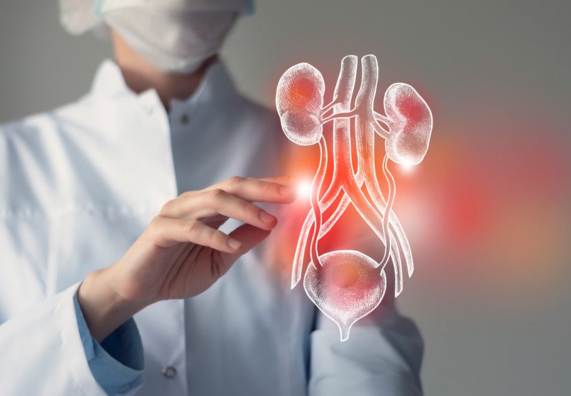 Diagram-depicting-urinary-incontinence-issues-during-menopause Diagram-depicting-urinary-incontinence-issues-during-menopause