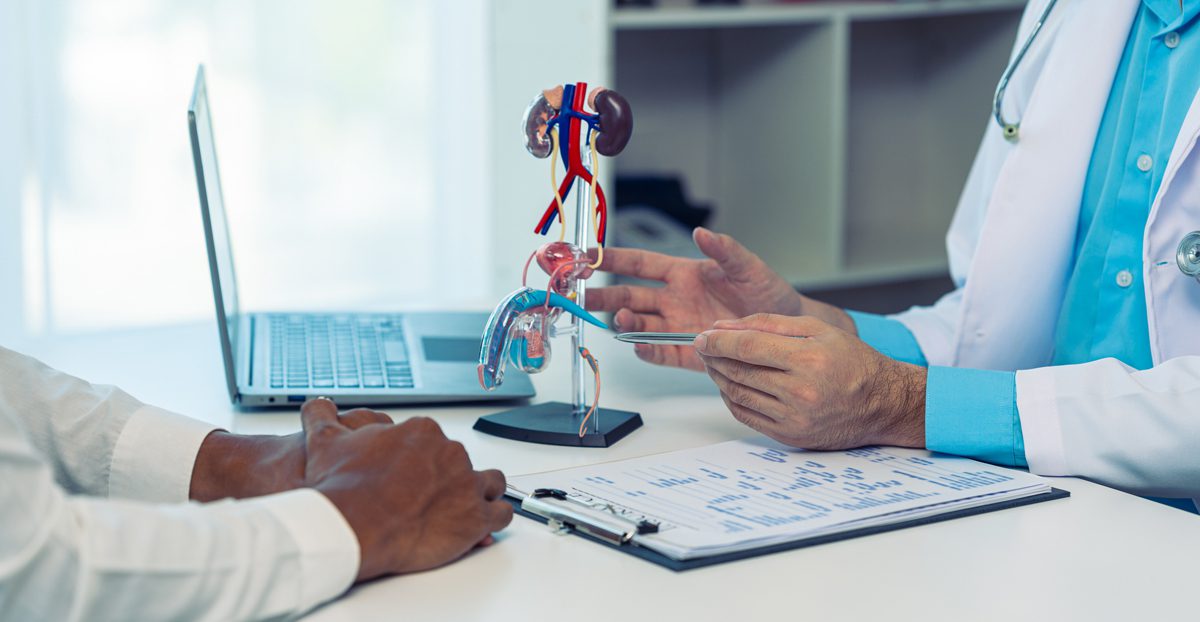 Doctor-explaining-the-causes-of-ejeculating-disorder-with-anatomic-model