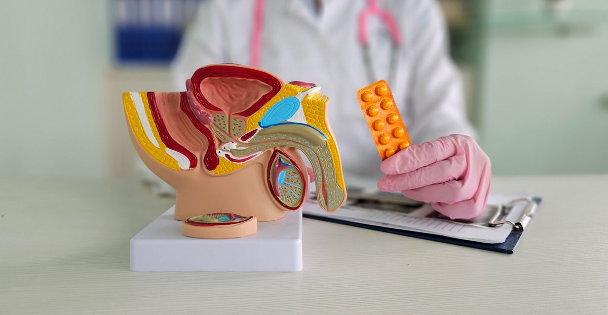 Doctor-holds-model-of-male-reproductive-system-and-pill