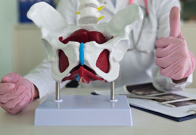 Doctor-shows-a-model-of-the-female-pelvic-anatomy-and-gestures-sign