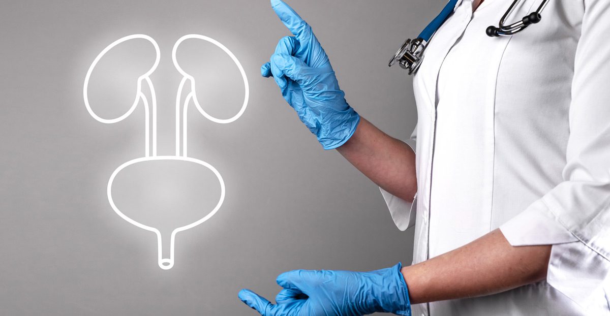 Female-doctor-showing-urinary-system-concept