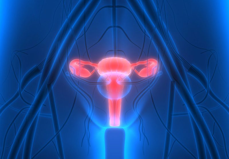 Female-pelvic-anatomy-as-a-surgical-relevance