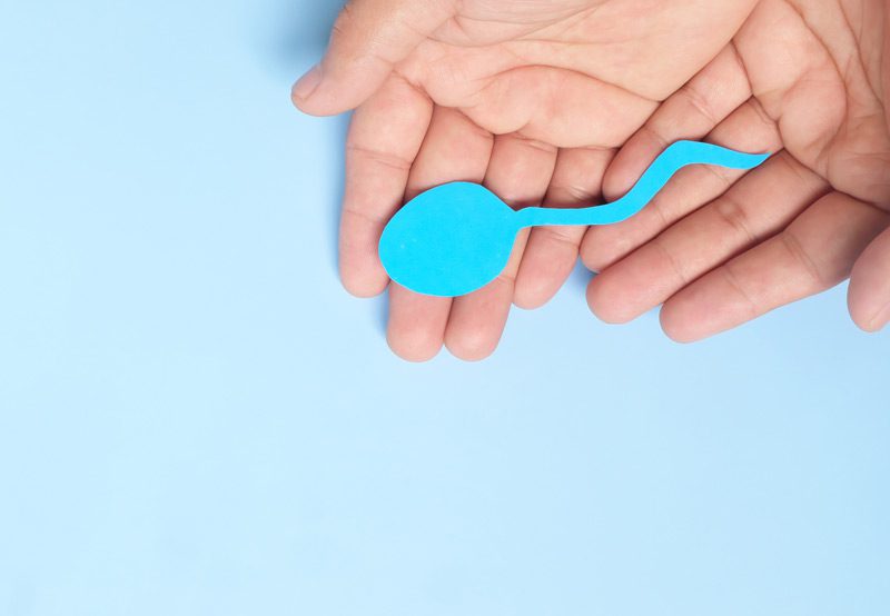 Male-hand-holding-sperm-cutout-depiction-of-sperm-donation-concept Male-hand-holding-sperm-cutout-depiction-of-sperm-donation-concept