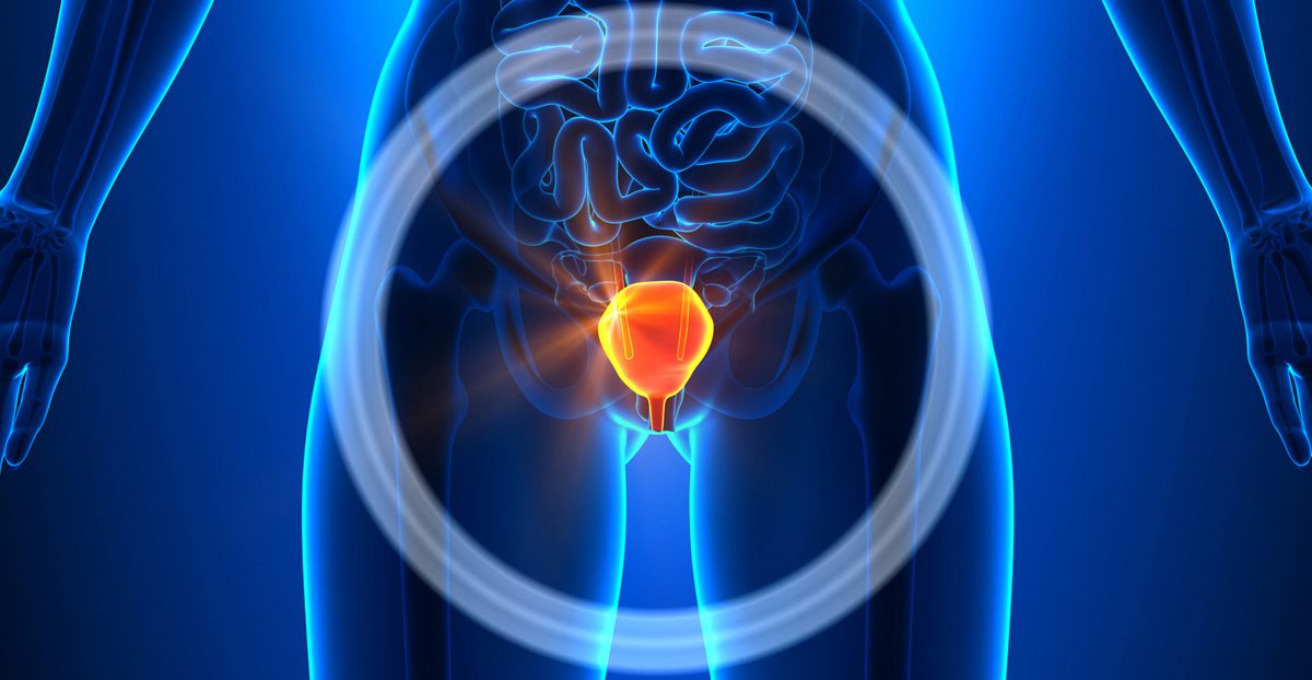 Medical-concept-of-a-female-reproductive-system