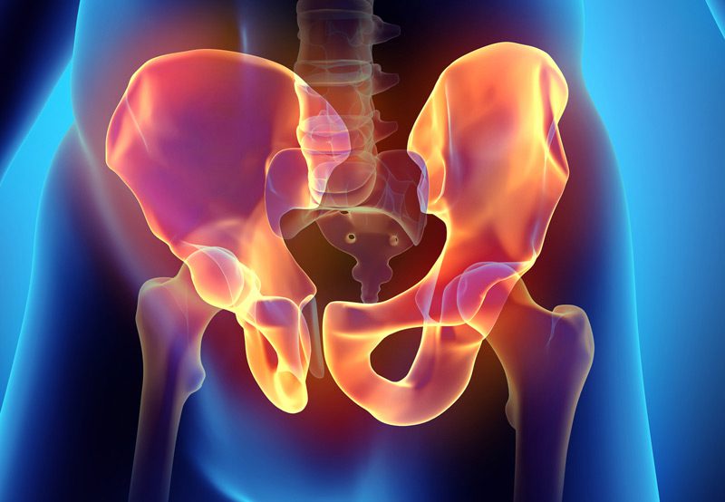 Medical-concept-of-a-human-pelvis Medical-concept-of-a-human-pelvis