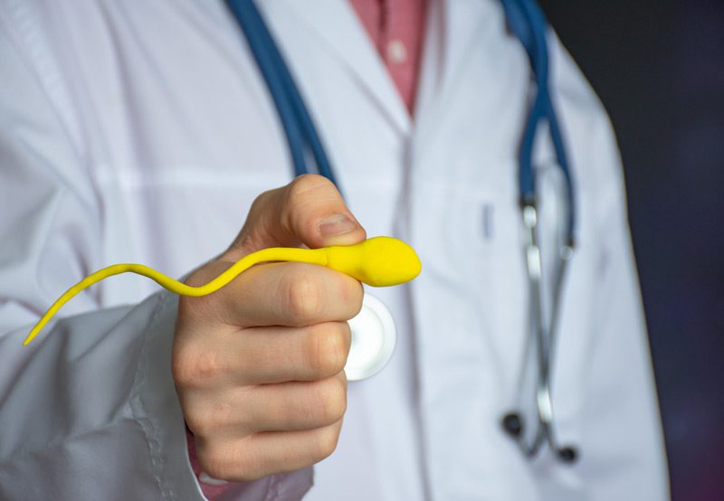 Urologist-or-fertility-specialist-holds-enlarged-sperm-model Urologist-or-fertility-specialist-holds-enlarged-sperm-model