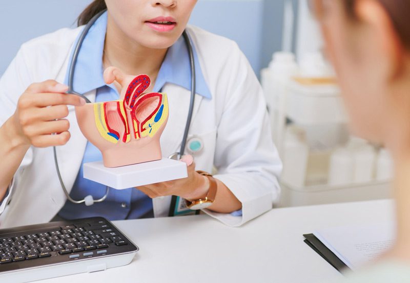Doctor-explaining-urological-anatomy-to-patient