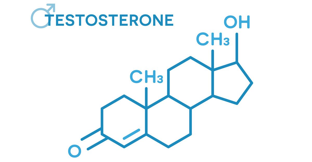 molecular-illustration-of-testosterone