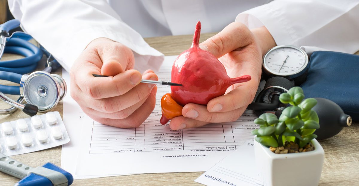 Doctor-showing-bladder-anatomy-to-patient