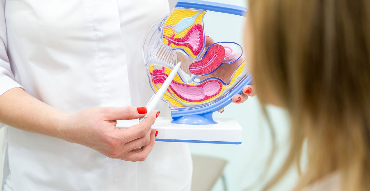Gynecologist-consulting-patient-using-uterus-anatomy-model