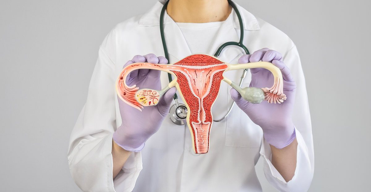 Gynecologist-explaining-anatomy-using-an-educational-ovary-model